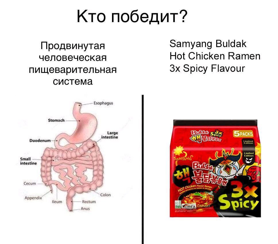 Кто победит? Продвинутая Samyang Buldak человеческая Hot Chicken Ramen пищеварительная Spicy Flavour система Esophagus Stomach Duodenum~ intestine Сесит Appendix 7