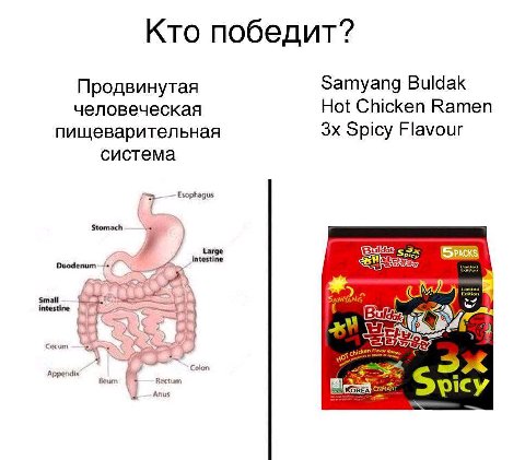 Кто победит? Продвинутая Samyang Buldak человеческая Hot Chicken Ramen пищеварительная Spicy Flavour система Esophagus Stomach Duodenum~ intestine Сесит Appendix 7