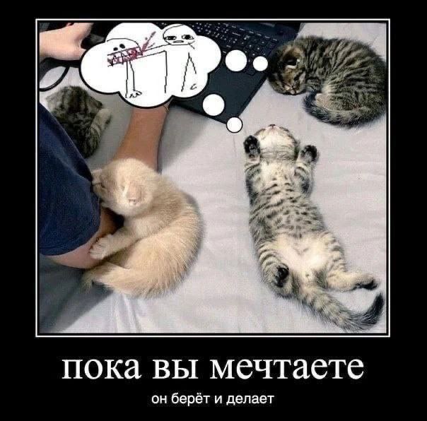 пока вы мечтаете он берёт и делает