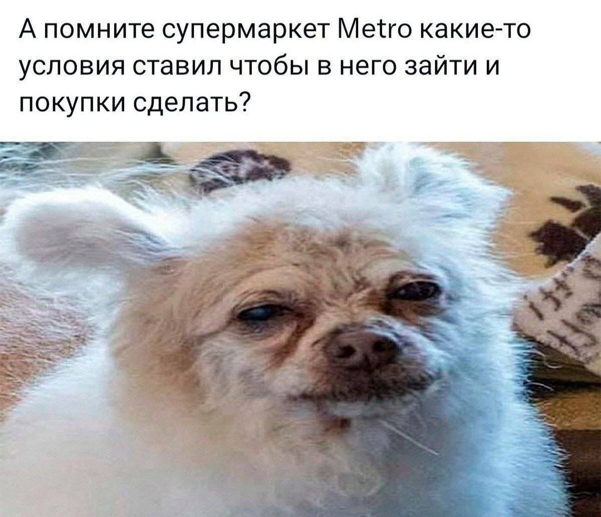 А помните супермаркет Metro какие-то условия ставил чтобы в него зайти и покупки сделать?