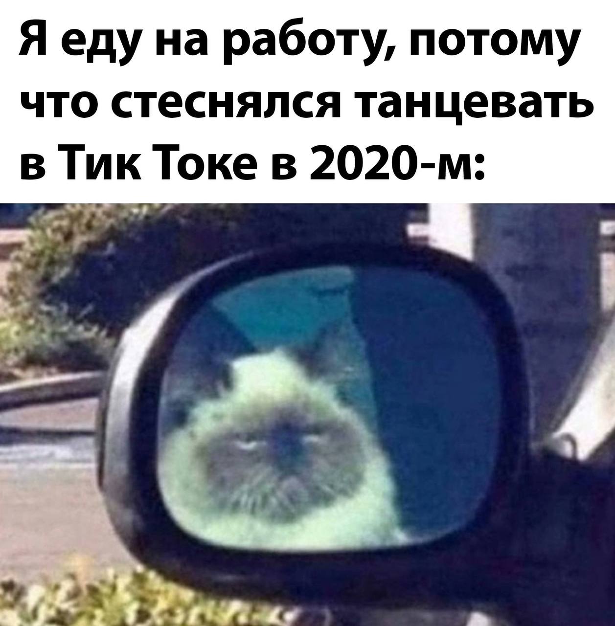 Я еду на работу, потому что стеснялся танцевать в Тик Токе в