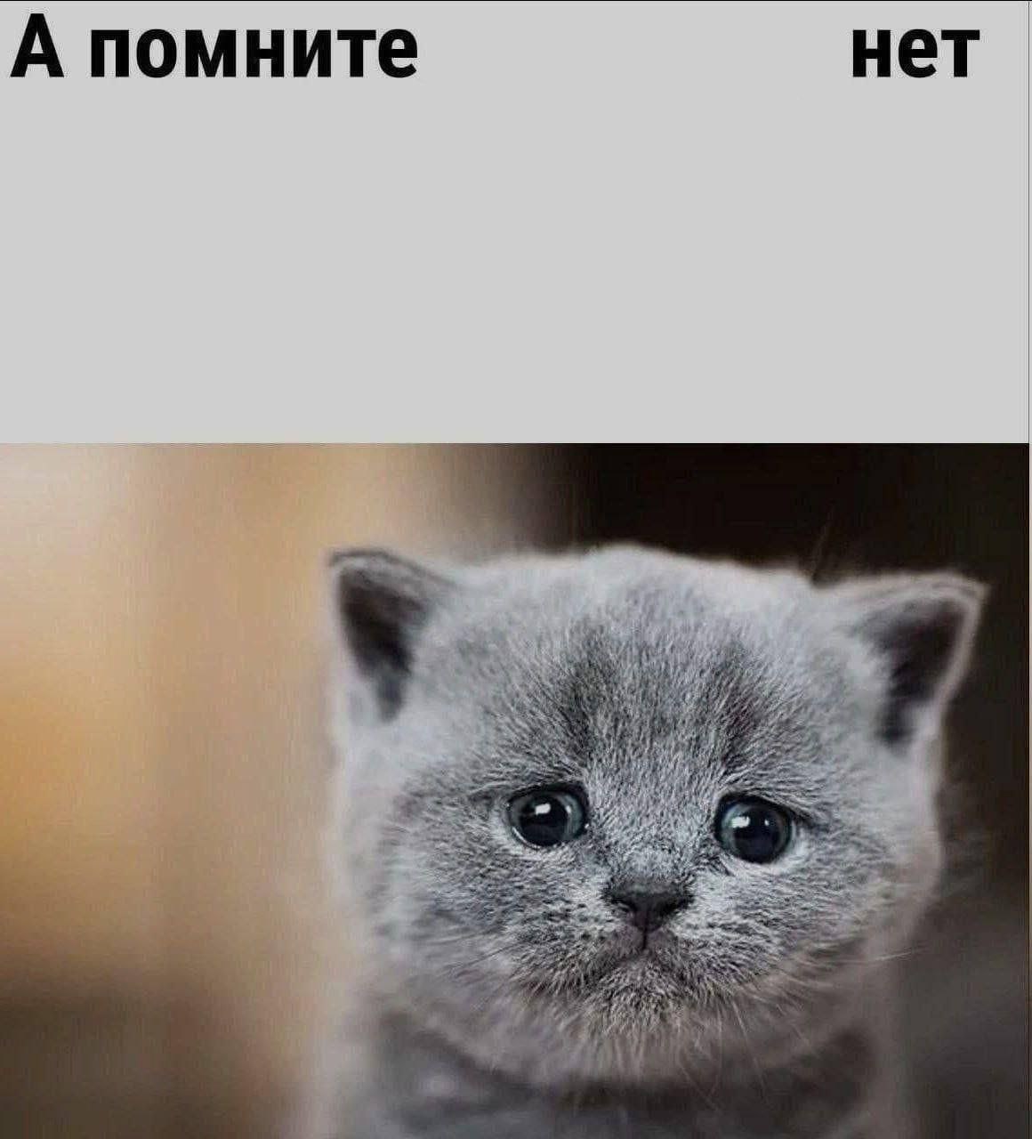 А помните нет i Wat a