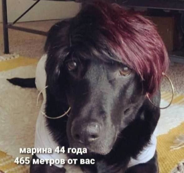 марина 44 года 465 метров от вас