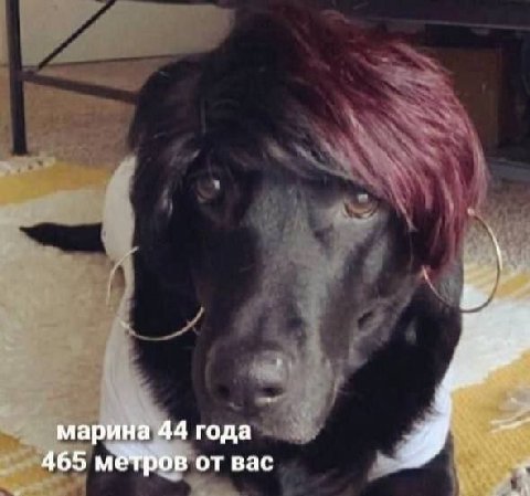 марина 44 года 465 метров от вас