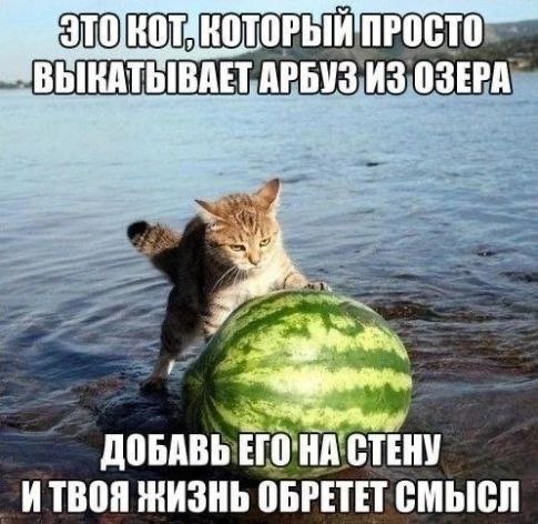 "ВЫКАТЬЫВАЕТ АРБУЗ ИЗ ОЗЕРА ДОБАВЬ СТЕНУ ИТВОЯ ЖИЗНЬ ОБРЕТЕТ СМЫСЛ