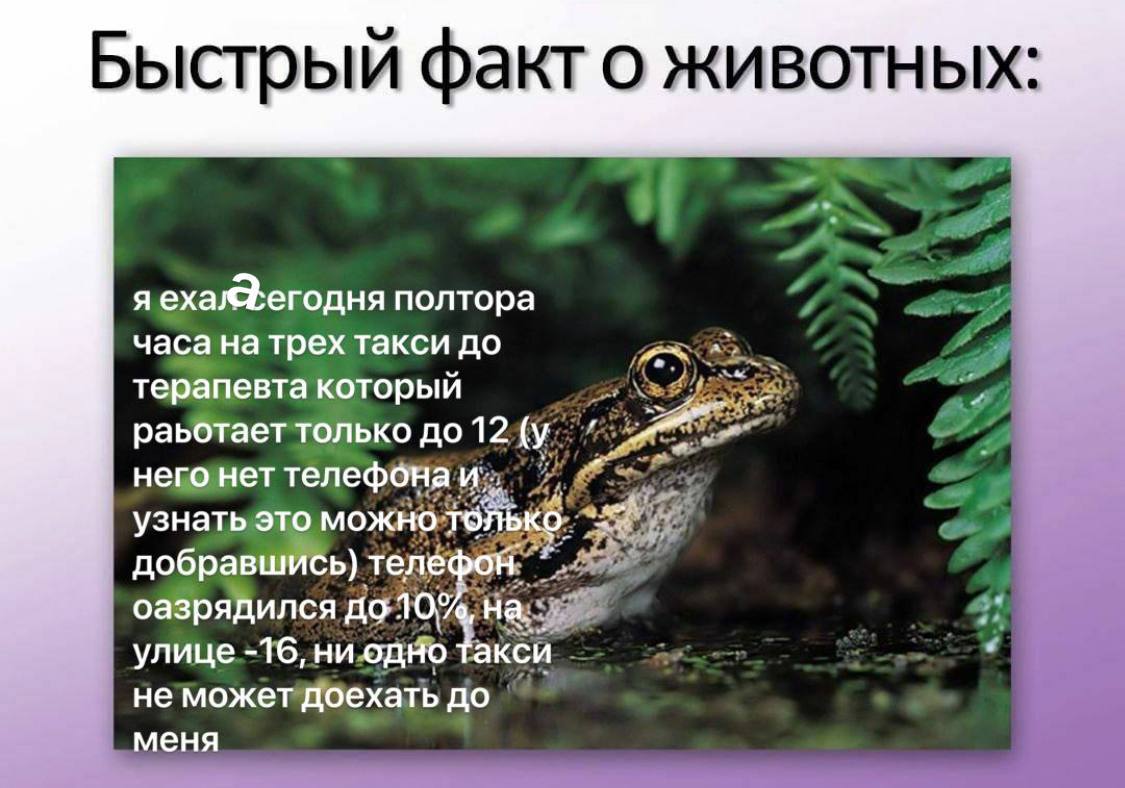распространите