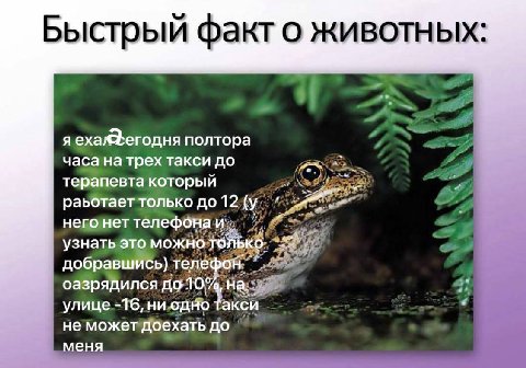 распространите
