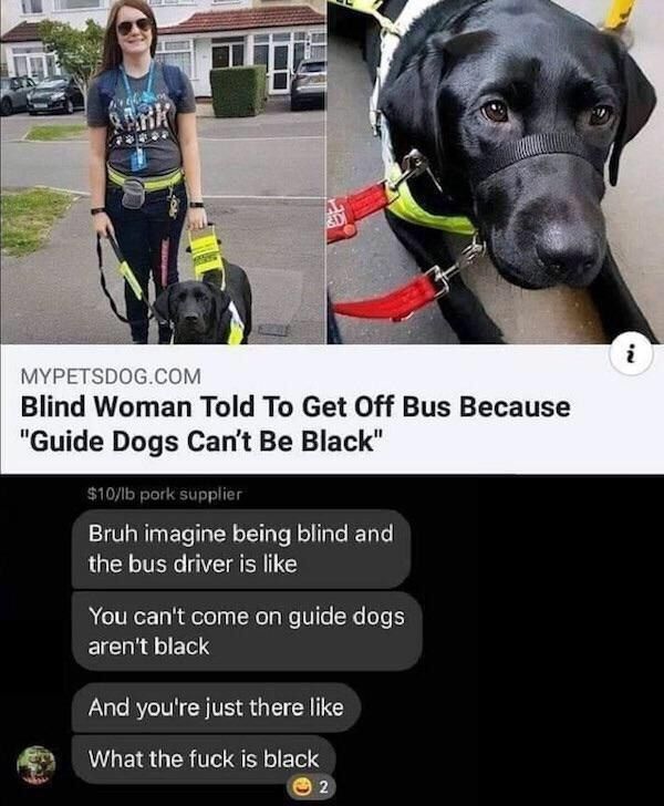 у 4 2 3 i MYPETSDOG.COM Blind Woman Told To Get Off Bus Because "Guide Dogs Can't Be Black" ЗЛОЛЬ pork supplier Bruh imagine being blind and the bus driver is like You can't come on guide dogs aren't 