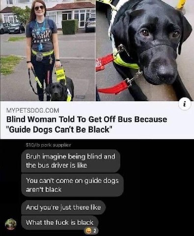 у 4 2 3 i MYPETSDOG.COM Blind Woman Told To Get Off Bus Because "Guide Dogs Can't Be Black" ЗЛОЛЬ pork supplier Bruh imagine being blind and the bus driver is like You can't come on guide dogs aren't 