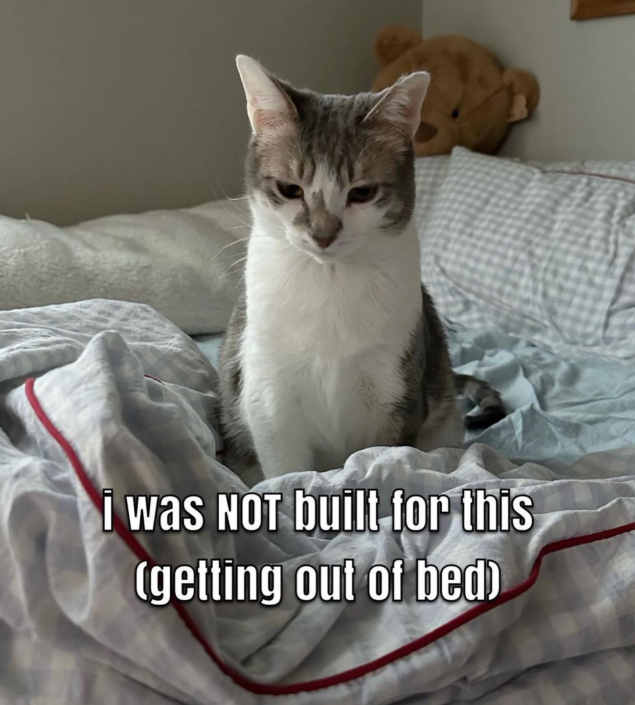 was NOT (getting out of
