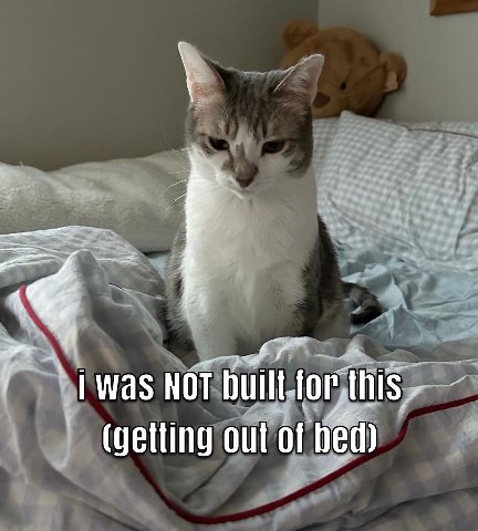 was NOT (getting out of