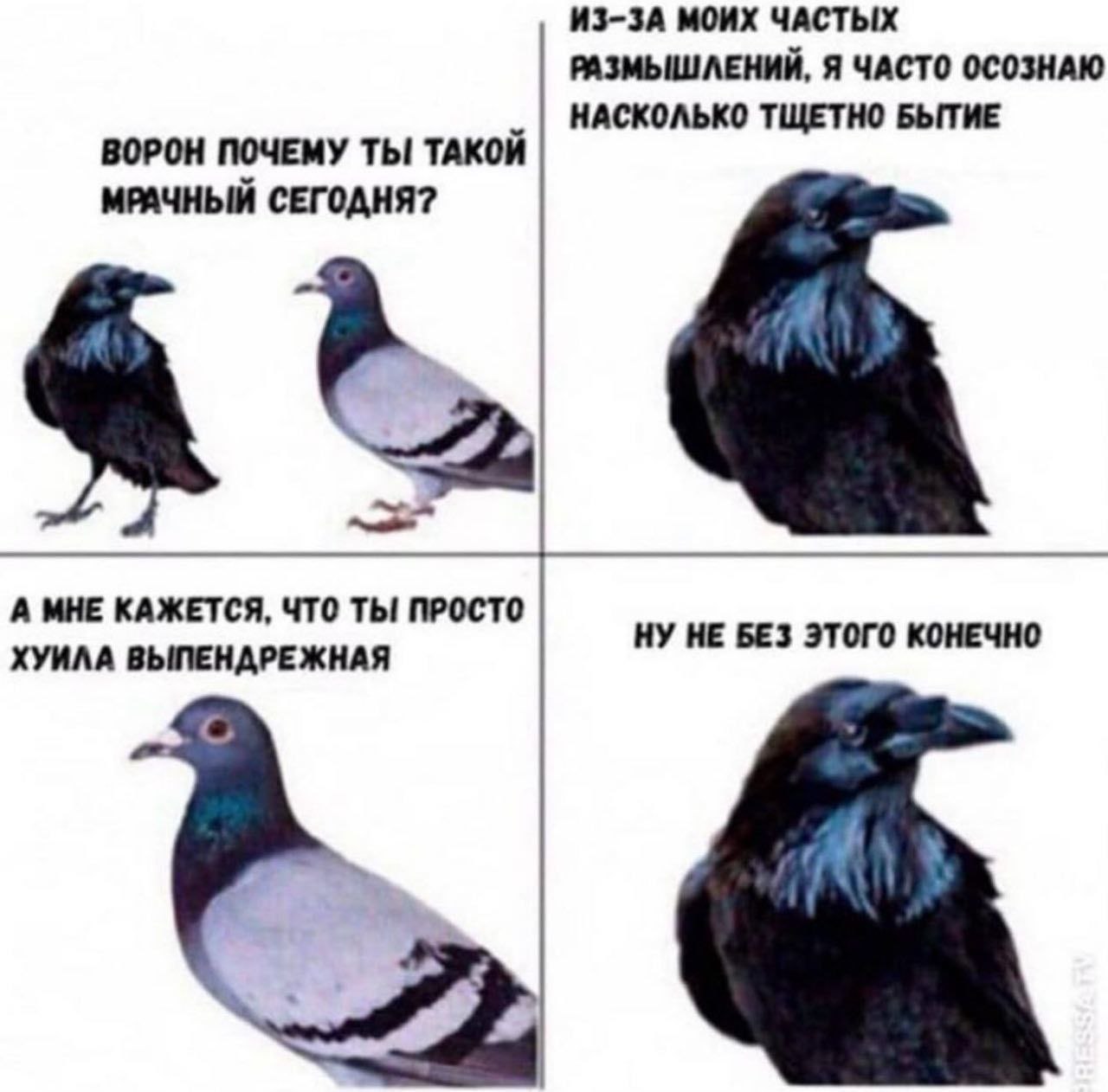 ИЗ-ЗА МОИХ ЧАСТЫХ РАЗМЫШЛЕНИИ, Я ЧАСТО ОСОЗНАЮ НАСКОЛЬКО ТЩЕТНО БЫТИЕ ВОРОН ПОЧЕМУ ТЫ ТАКОЙ МРАЧНЫЙ СЕГОДНЯ? А МНЕ КАЖЕТСЯ, ЧТО ТЫ ПРОСТО ХУИЛА ВЫПЕНДРЕЖНАЯ НУ НЕ БЕЗ ЭТОГО КОНЕЧНО