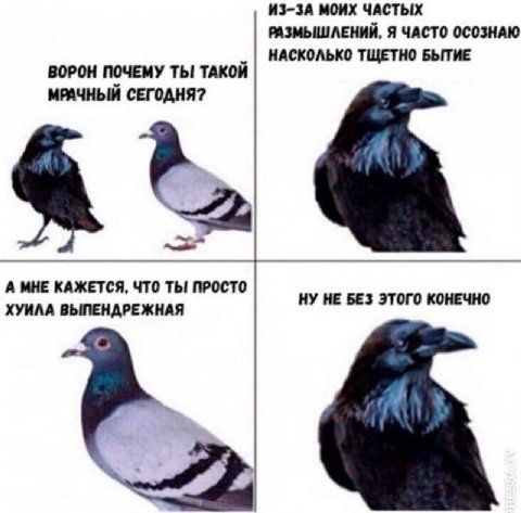 ИЗ-ЗА МОИХ ЧАСТЫХ РАЗМЫШЛЕНИИ, Я ЧАСТО ОСОЗНАЮ НАСКОЛЬКО ТЩЕТНО БЫТИЕ ВОРОН ПОЧЕМУ ТЫ ТАКОЙ МРАЧНЫЙ СЕГОДНЯ? А МНЕ КАЖЕТСЯ, ЧТО ТЫ ПРОСТО ХУИЛА ВЫПЕНДРЕЖНАЯ НУ НЕ БЕЗ ЭТОГО КОНЕЧНО