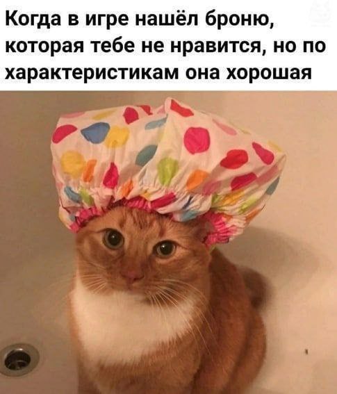 Когда в игре нашёл броню, которая тебе не нравится, но по характеристикам она хорошая