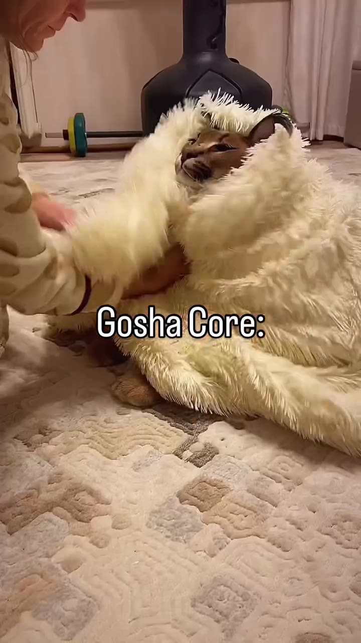 х бозпа/ боге: