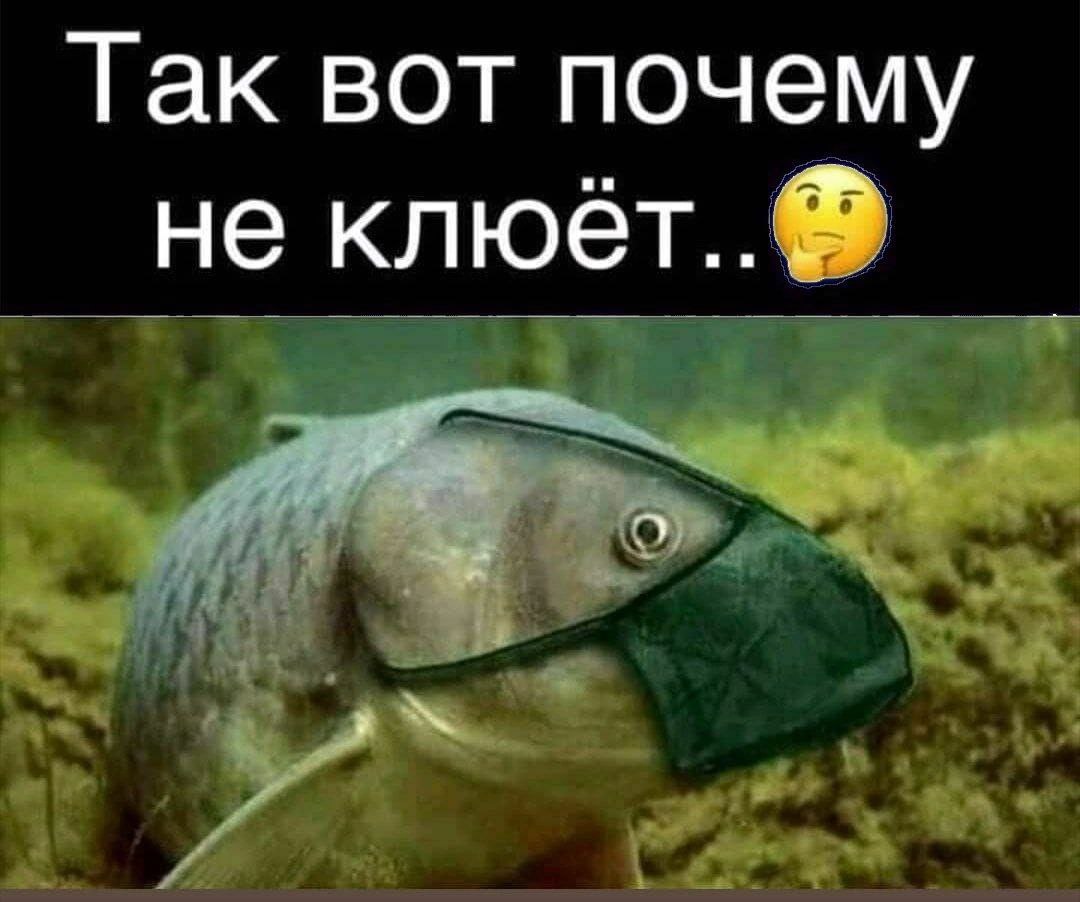 Так вот почему не клюёт..