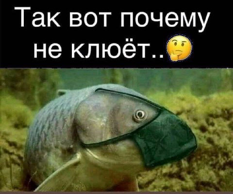 Так вот почему не клюёт..
