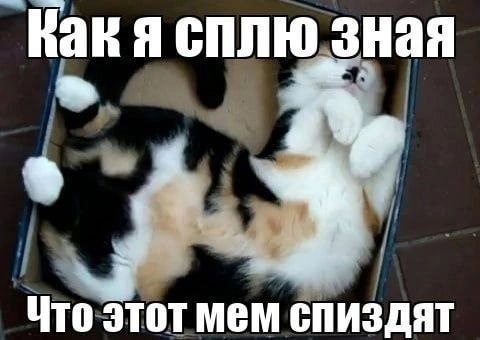 сплю зная Что этот мем СПИЗДЯТ