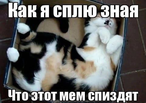 сплю зная Что этот мем СПИЗДЯТ