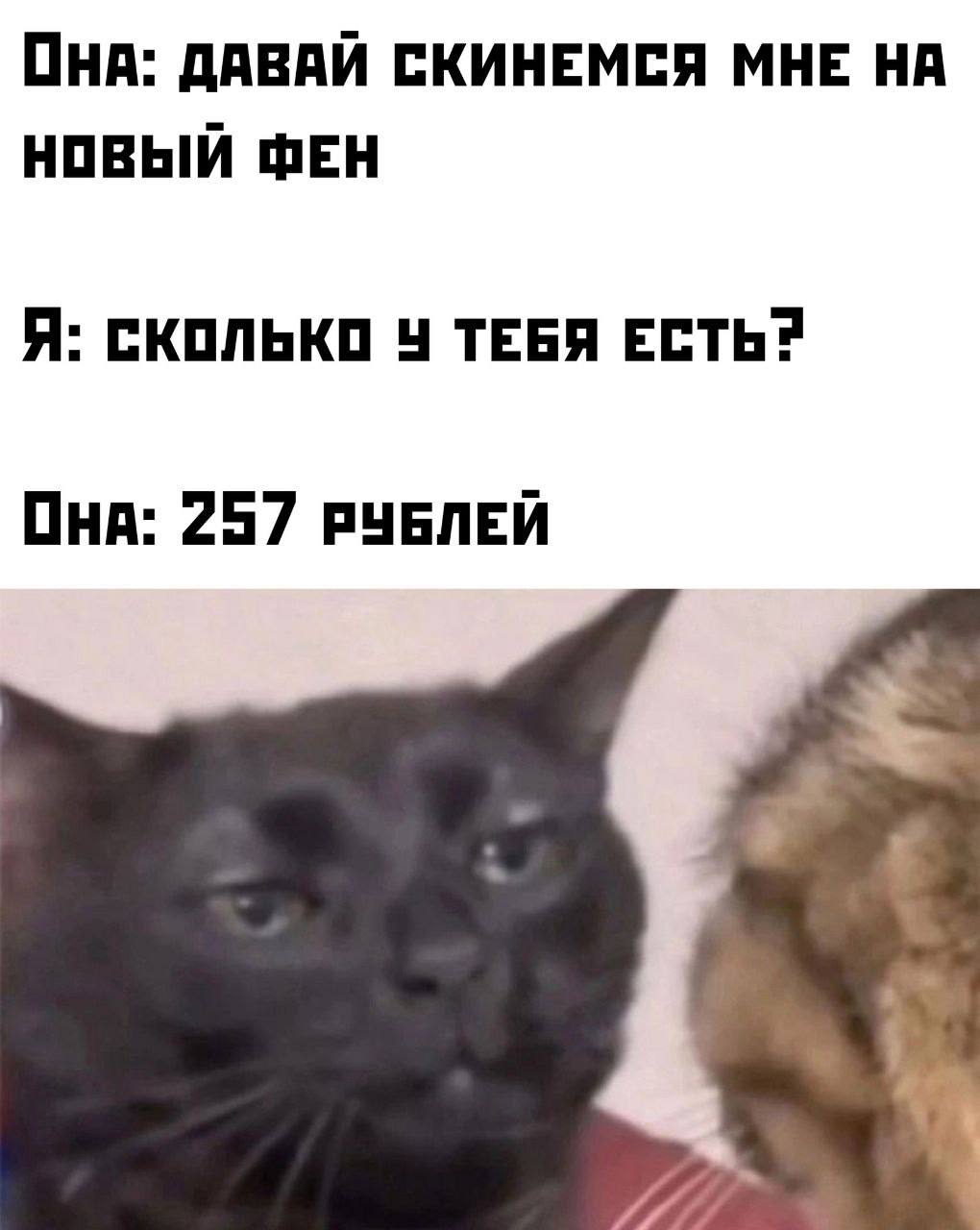 OHA: ДАВАЙ СКИНЕМСЯ МНЕ НА НОВЫЙ ФЕН Я: СКОЛЬКО У ТЕБЯ 257 РУБЛЕЙ
