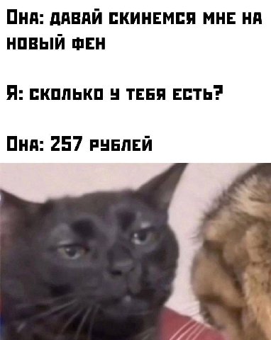 OHA: ДАВАЙ СКИНЕМСЯ МНЕ НА НОВЫЙ ФЕН Я: СКОЛЬКО У ТЕБЯ 257 РУБЛЕЙ