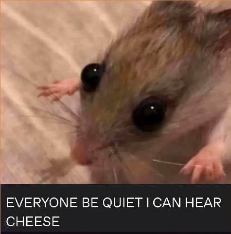 EVERYONE QUIET САМ HEAR CHEESE