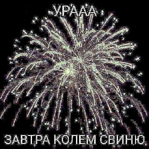 a a at у 7 ЗАВТРА КОЛЕМ СВИНЮ,