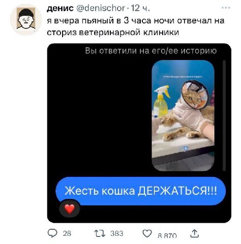 денис 12 я вчера пьяный в 3 часа ночи отвечал на сториз ветеринарной клиники Вы ответили на его/ее историю Жесть кошка 28 383