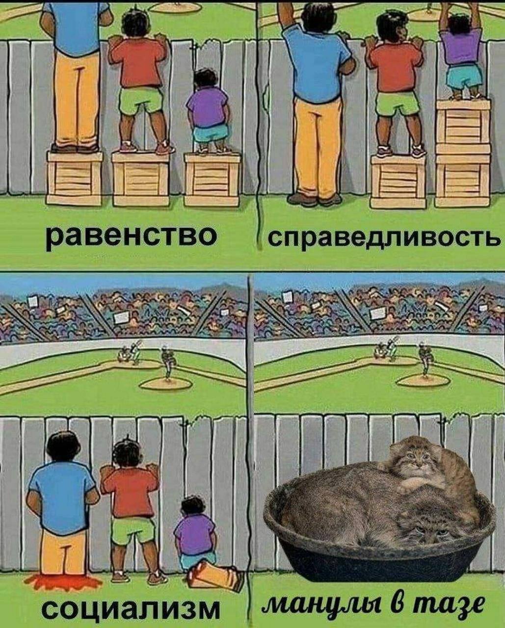 равенство справедливость AS в. социализм манулы 6 maze