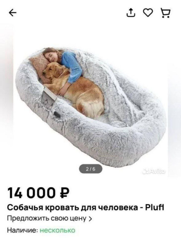 Hou о 14000 Собачья кровать для человека Plufi Предложить свою цену Наличие: несколько