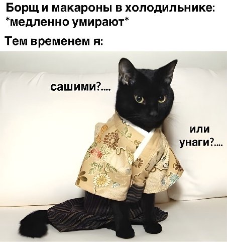 Борщ и макароны в холодильнике *медленно умирают* Тем временем я: или 00%, унаги? 7