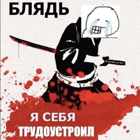 Я СЕБЯ ТРУДОУСТРОИЛ