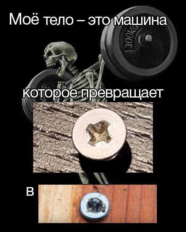 Мое тело которое превращает Bey В.