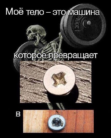 Мое тело которое превращает Bey В.