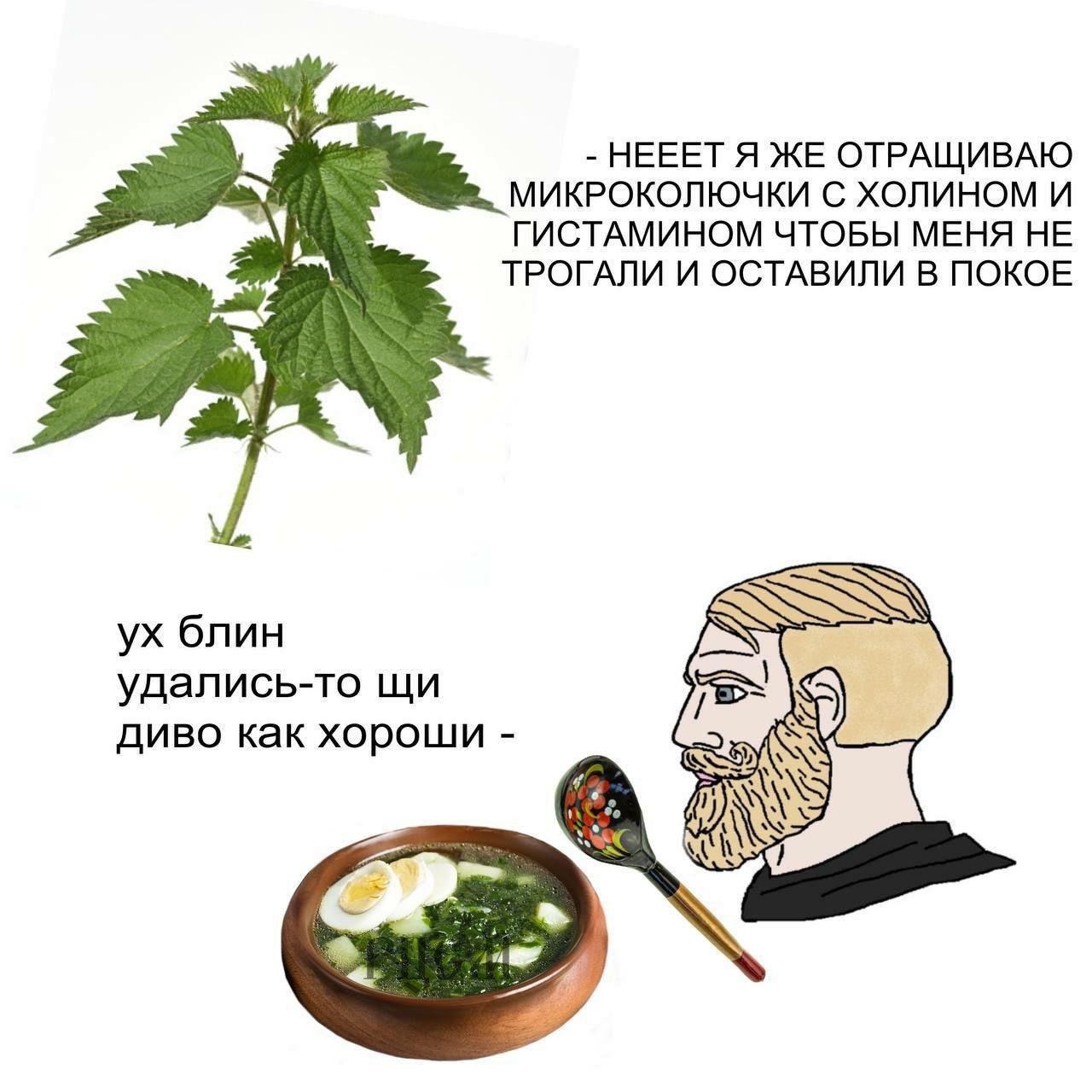 НЕЕЕТ Я ЖЕ ОТРАЩИВАЮ МИКРОКОЛЮЧКИ С ХОЛИНОМ И ГИСТАМИНОМ ЧТОБЫ МЕНЯ НЕ ТРОГАЛИ И ОСТАВИЛИ В ПОКОЕ блин удались-то диво как хороши 9,
