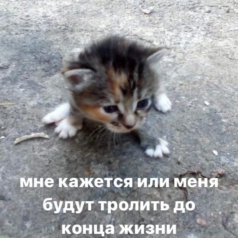 2: one a мне кажется или меня будут тролить до конца жизни