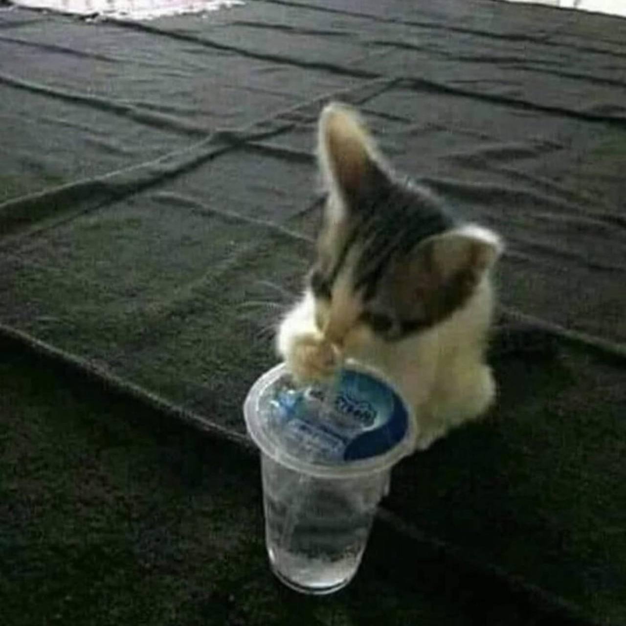 “4