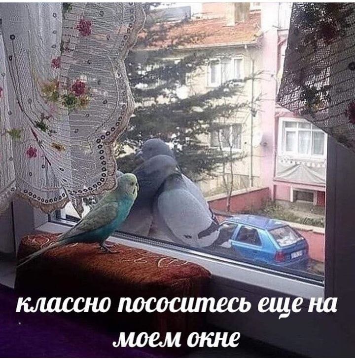и me пососитесь еще на MOCM окне