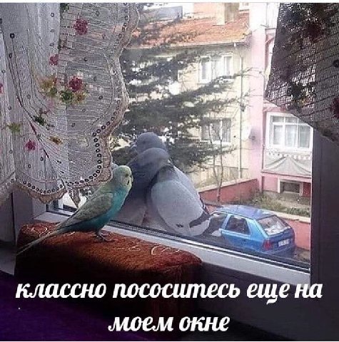 и me пососитесь еще на MOCM окне