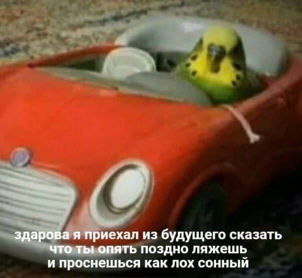 здарова я приехал из будущего сказать что ты опять поздно ляжешь и проснешься как лох сонный