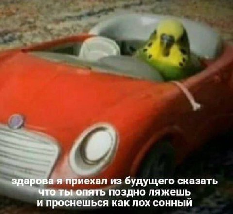 здарова я приехал из будущего сказать что ты опять поздно ляжешь и проснешься как лох сонный