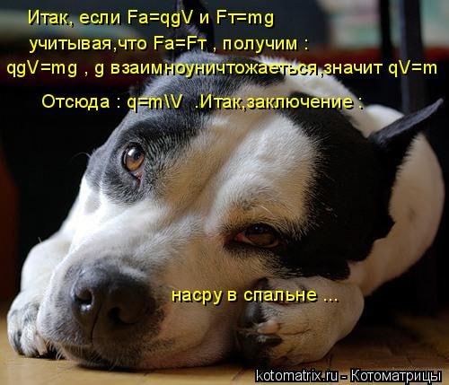 Итак, если Fa=qgV и Ет=та Fa=FT получим qgV=mg 9 взаимноуничтожаечевя, значит Отсюда q=m\V „Итак,заключение и насру в спальне