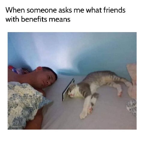 When someone asks me what friends with benefits means