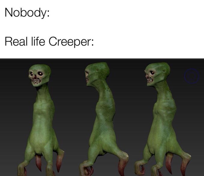 Nobody: Real life Creeper: