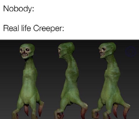 Nobody: Real life Creeper: