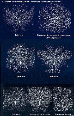 Гиндце "Артериальная система головного мозга человека и животных" у И у 20 VLE if No NSS А и и Рабочий Выдающийся казанский невропатолог Даркшевич 2 the FESS Me 4 А Мужчина Женщина А и LEG, oN, CAS Ид