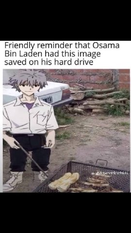 Friend reminder that Osama Bin had this image saved on his hard drive ный @sweetdeath616