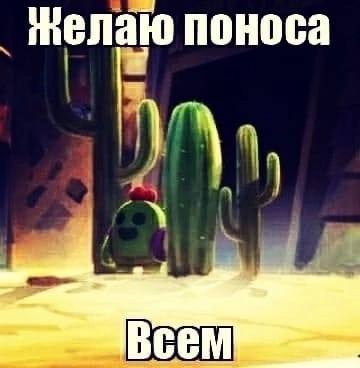 поноса