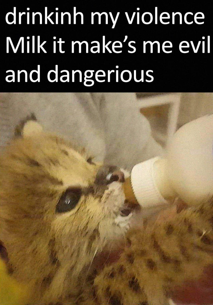 drinkinh my violence Milk it make’s me evil and dangerious