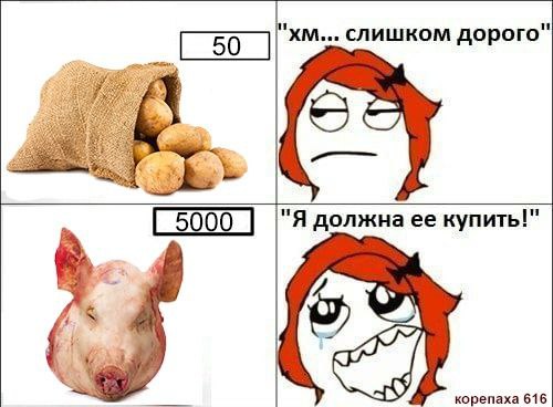 слишком дорого" "Я купить!" 5000 корепаха 616